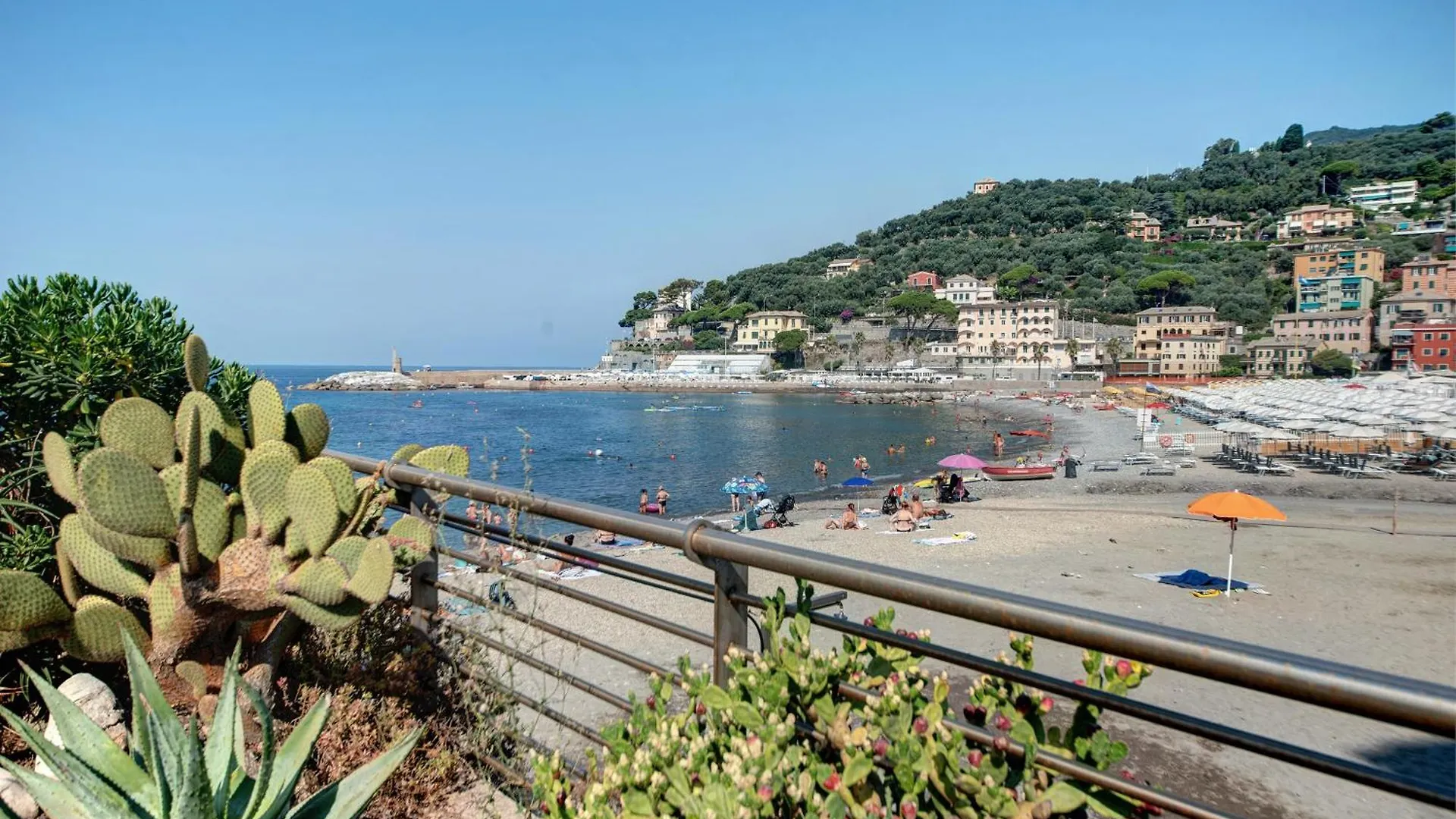 A Dream Apartment Recco